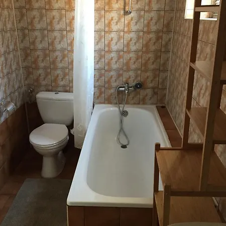 Vila Gafencu فيلة